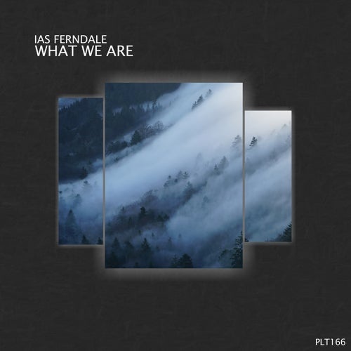 Ias Ferndale - WHAT WE ARE EP [PLT166]